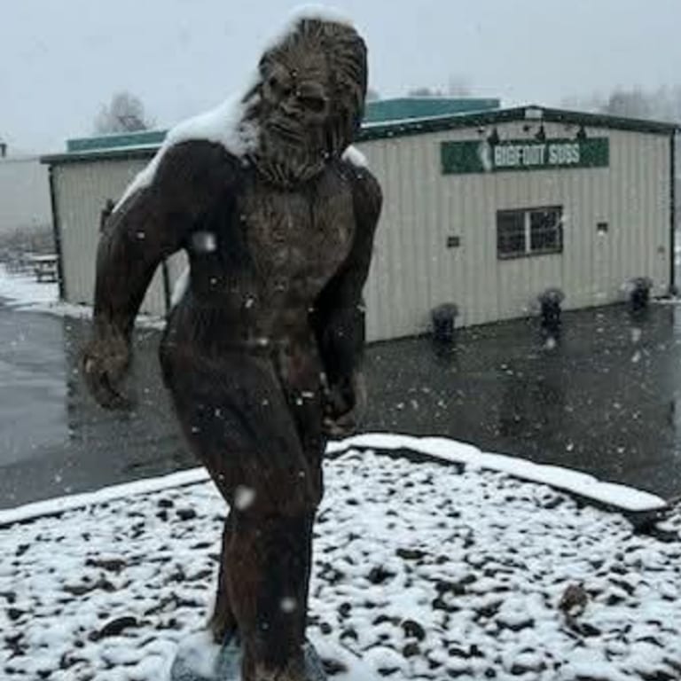 Welcome to Bigfoot Subs