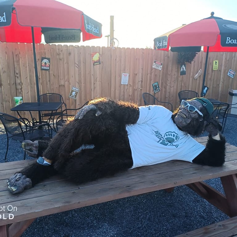 Your Spot for Great Sandwiches